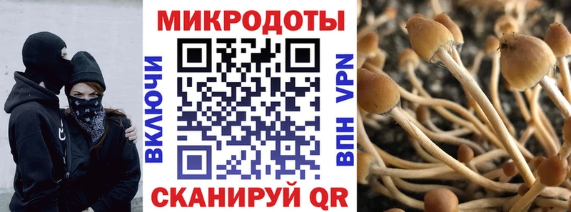 Псилоцибиновые грибы GOLDEN TEACHER  Нюрба 